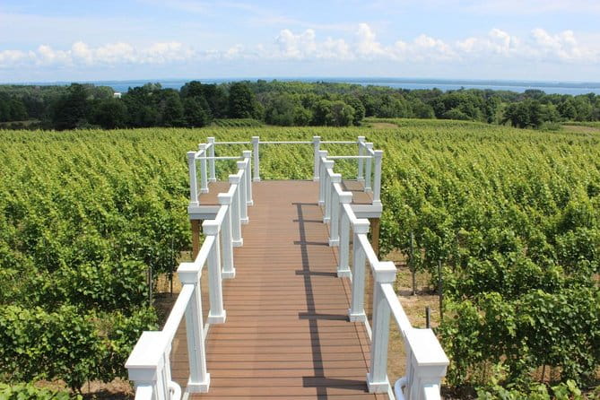 5-Hour Traverse City Wine Tour: 4 Wineries on Old Mission Peninsula - FAQ