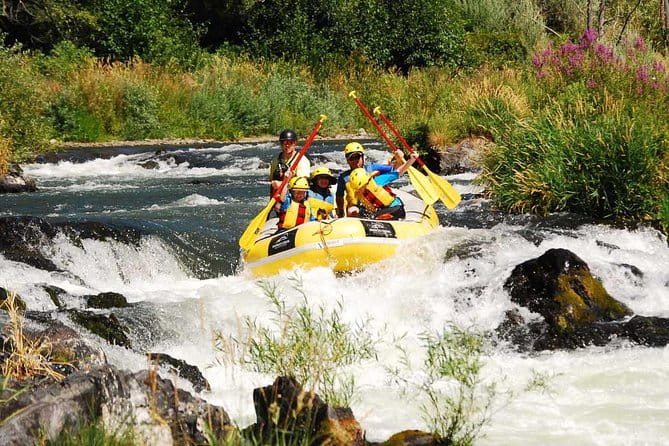Rogue Valley Rapid Run - Why This Tour Might Be Perfect for You