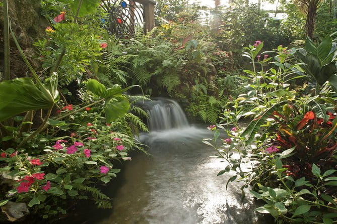 Butterfly Rainforest at Florida Museum of Natural History Ticket - The Sum Up