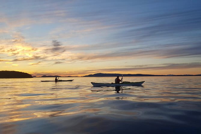 Full Day San Juan Island Kayaking Adventure - Who Will Love This Tour?