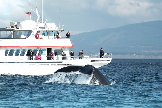 Whale Watching from Friday Harbor - Introduction to the Whale Watching from Friday Harbor