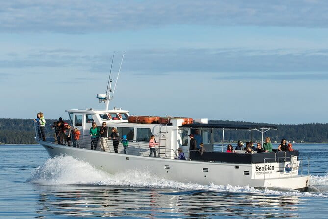 Whale Watching from Friday Harbor - The Experience, the Scenery, and the Guides