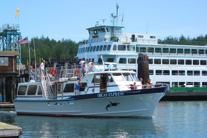 Guaranteed Whale Watching Tour - Real Traveler Feedback: Authentic Perspectives