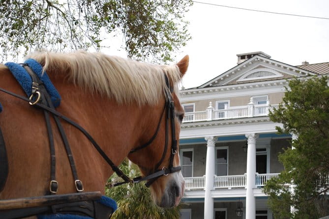 #1 Historical Horse Drawn Carriage Tour - Authenticity and Value