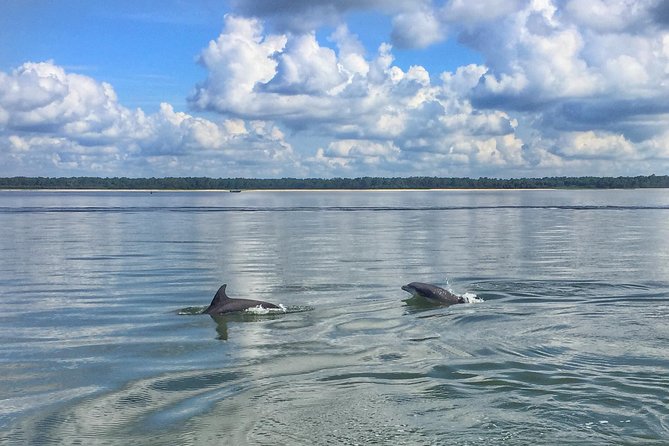 Hilton Head Island Guided Water Tour by Creek Cat Boat - The Value Proposition