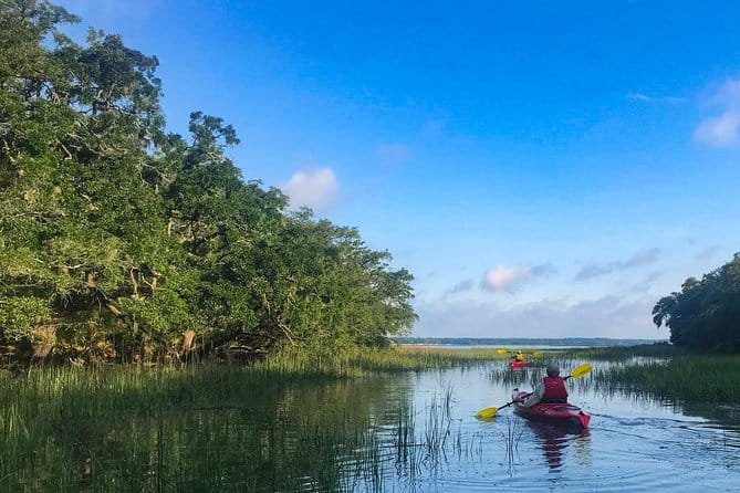 2-Hour Hilton Head Guided Kayak Nature Tour - FAQ