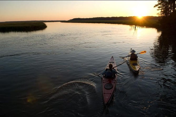 2-Hour Hilton Head Guided Kayak Nature Tour - Who Should Consider This Tour?