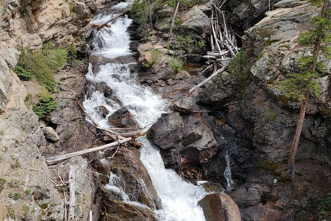 Private and Personalized Three Hour Morning Tour of Rocky Mountain National Park - The Value of a Private, Custom-Tailored Experience