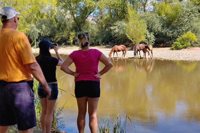 Sonoran Desert Jeep Tour - FAQ