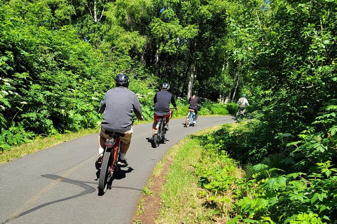 Viator Exclusive: Go eBike Alaska on Tony Knowles Trail - Final Thoughts