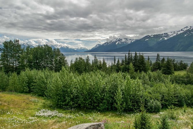 Glaciers and Wildlife: Super Scenic Day Tour from Anchorage - Who Should Consider This Tour?