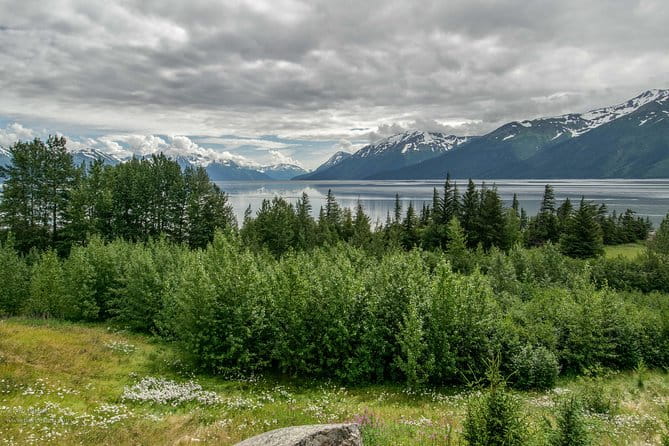Alaska Wildlife Day Tour with Free Hotel Pickup - The Value and Overall Experience