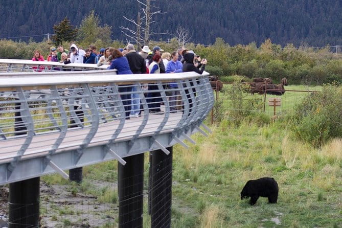 Alaska Wildlife Day Tour with Free Hotel Pickup - FAQ