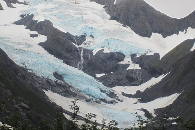 Wildlife and Glaciers with a walk in the Rainforest - FAQ