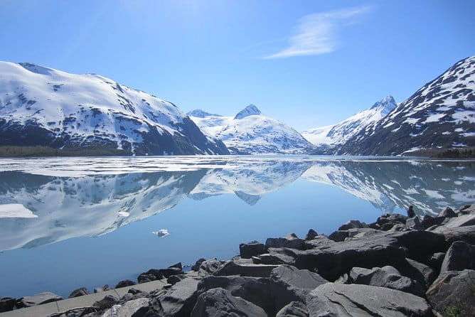Wildlife and Glaciers with a walk in the Rainforest - The Sum Up: Why This Tour Is a Good Choice