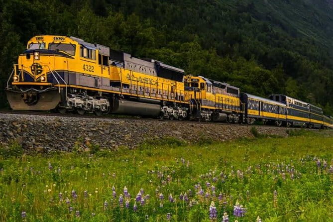 Alaska Railroad Anchorage to Seward Round-Trip Same Day Return - Practical Tips for Travelers
