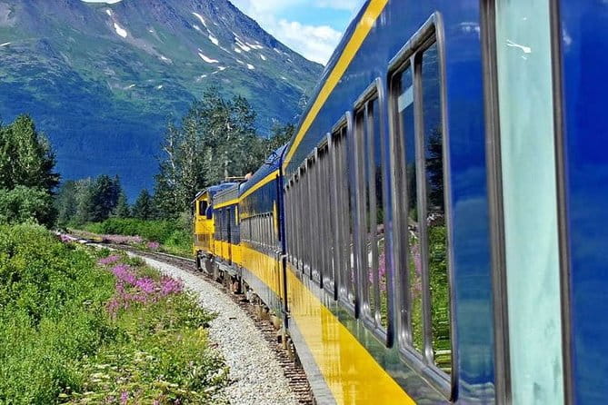 Alaska Railroad Anchorage to Seward One Way - What Travelers Are Saying