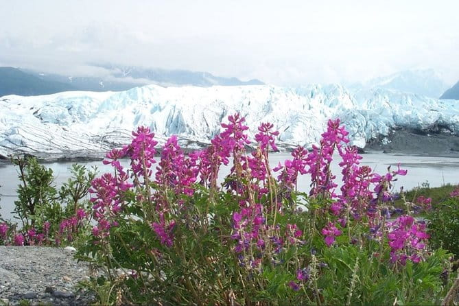 Matanuska Glacier Winter Tour - Authentic Traveler Insights