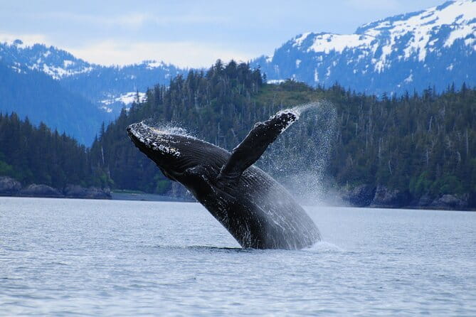 26 Glacier Cruise and Coach from Anchorage, AK - Frequently Asked Questions
