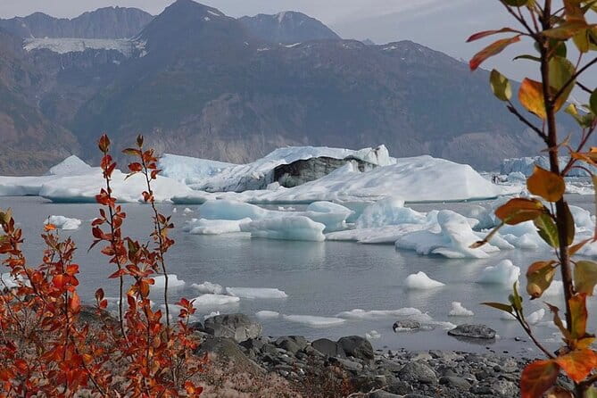 Grand Knik Helicopter Tour - 2 hours 3 landings - ANCHORAGE AREA - The Experience in Action: What Travelers Say