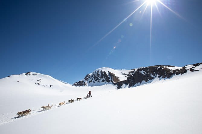 Summer Glacier Dogsledding Tour from Girdwood - FAQ