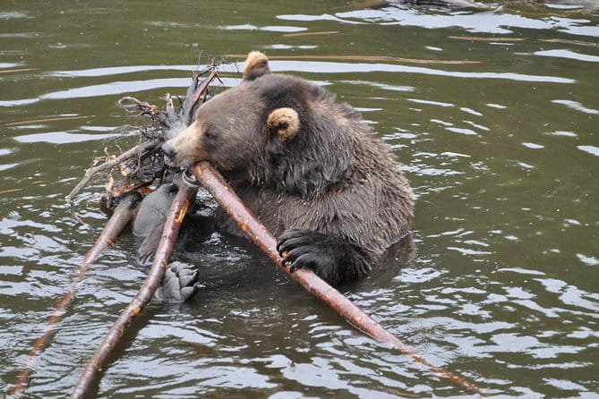 PREMIUM Sitka Scenic Tour - A Detailed Breakdown of the Itinerary
