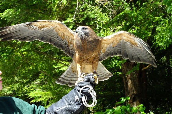 PREMIUM Sitka Scenic Tour - FAQs about the Premium Sitka Scenic Tour