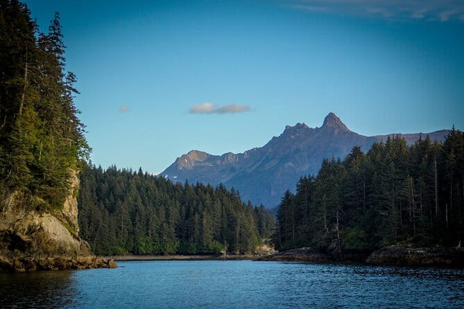 Alaska Wildlife Tour in Kachemak Bay - The Experience from Reviews