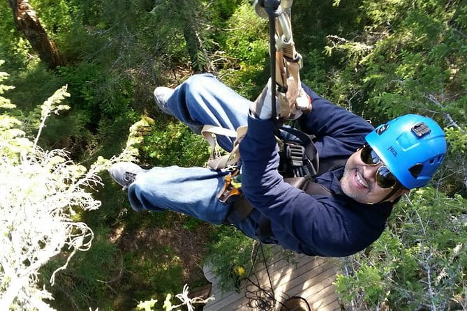 Stoney Creek Canopy Adventure - Who Will Love This Tour?