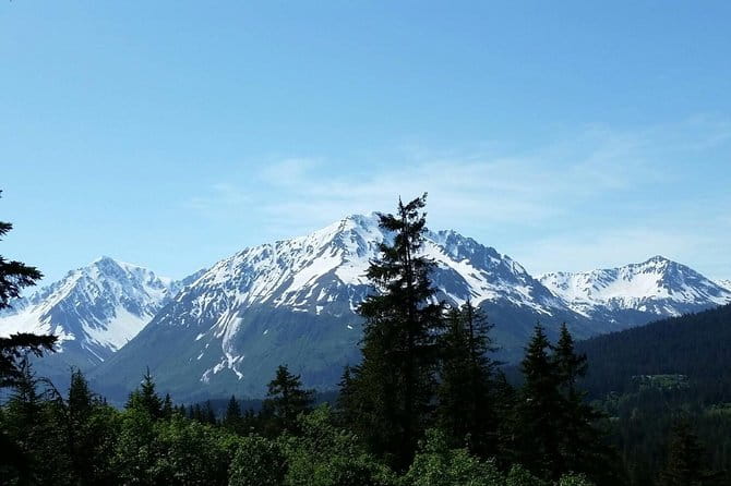 Stoney Creek Canopy Adventure - FAQ