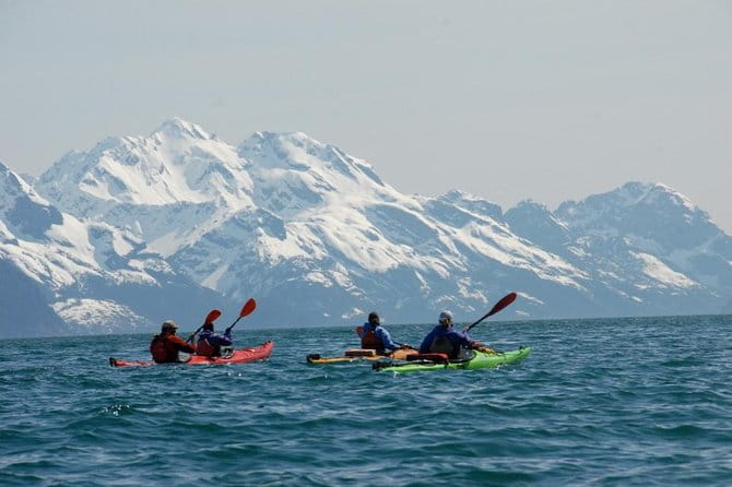 Resurrection Bay Kayaking Adventure - The Bottom Line: Who Will Love This Tour?
