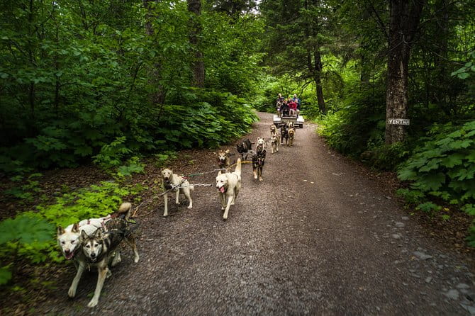 Wilderness Dog Sled Ride and Tour in Seward - FAQs