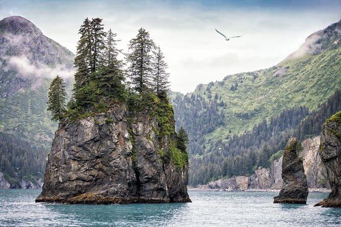 Kenai Fjords National Park Glacier & Wildlife Cruise - The Bottom Line: Who Will Love This Tour?