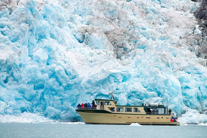 Full-Day Kenai Fjords National Park Northwestern Cruise - Final Thoughts