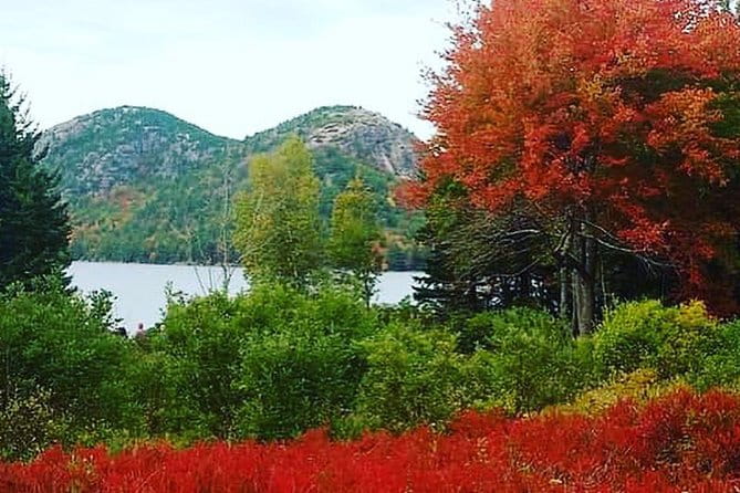 Narrated Bus Tour of Bar Harbor and Acadia National Park - Frequently Asked Questions