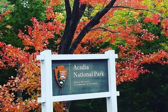 Narrated Bus Tour of Bar Harbor and Acadia National Park - Who Should Book This Tour?