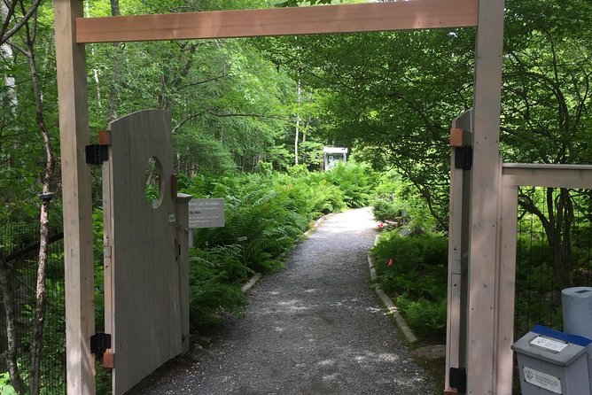 Premium Narrated Bus Tour of Bar Harbor and Acadia National Park (3.5 Hours) - Who Will Love This Tour?