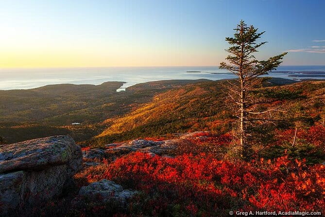 3 Hour Private Tour: Explore all the top spots of Acadia! - Real Traveler Perspectives