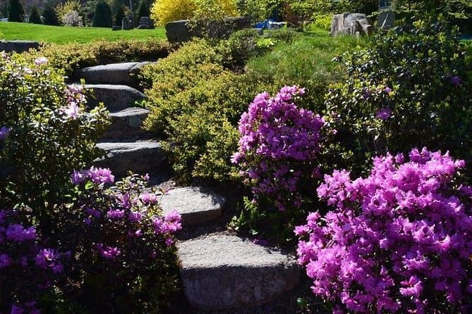 4 Hour Private Tour: Explore Acadia Nat'l Park, Fjord & Mansions - Who Might Want More?