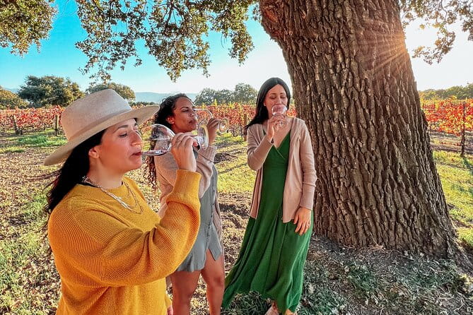 Santa Ynez Wine Tour (All-Inclusive) - Value for Money