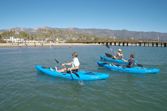 Kayak Tour of Santa Barbara with Experienced Guide - Final Thoughts: Is It Worth It?