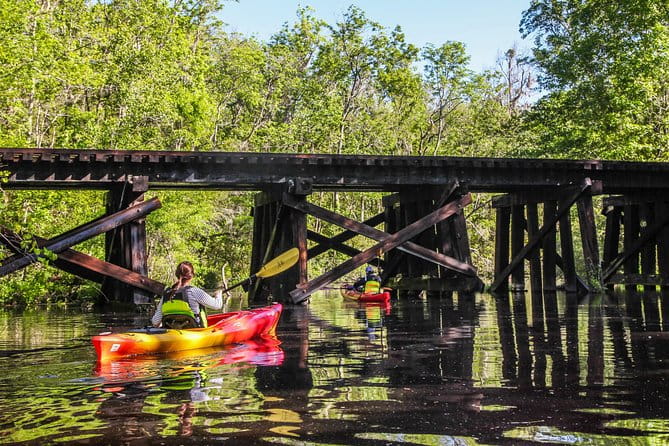 Amelia Island Guided Kayak Tour of Lofton Creek - What’s Included and How It Works