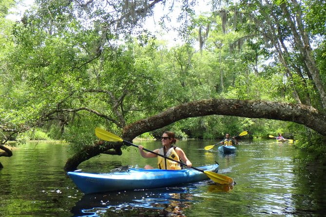 Self Guided Family Friendly Kayak Rental Experience Old Florida - The Experience in Detail