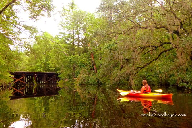 Self Guided Family Friendly Kayak Rental Experience Old Florida - Practical Tips for Your Kayaking Day
