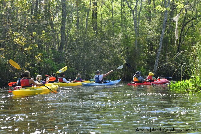 Self Guided Family Friendly Kayak Rental Experience Old Florida - Who Will Love This Tour?