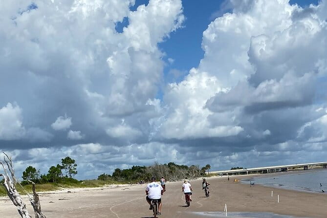 Electric Bike Tours in Amelia Island - Real Experiences from Travelers