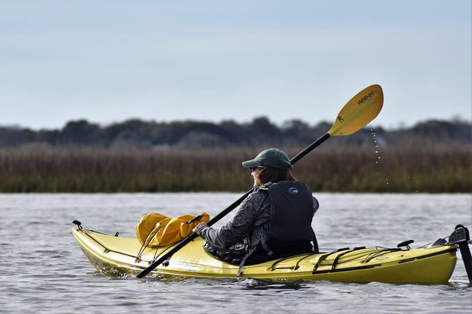 2-Hour Guided Kayak Eco Tour in Charleston - The Equipment and Comfort Level