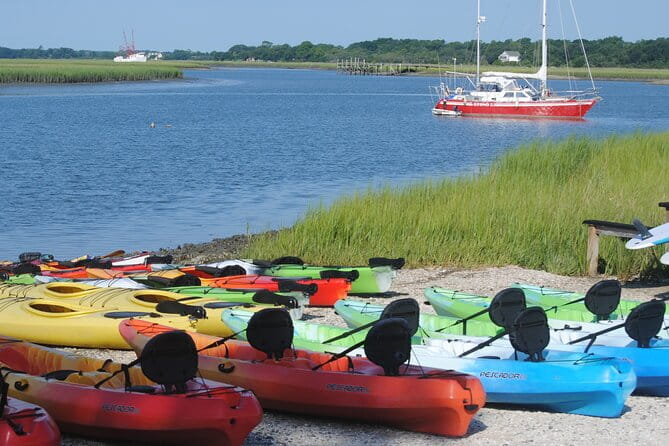 2-Hour Guided Kayak Eco Tour in Charleston - Final Thoughts: Is This Tour Right for You?