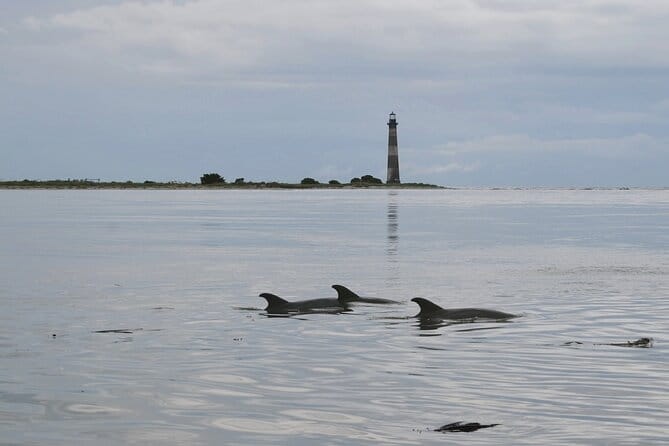 Charleston Eco Boat Cruise with stop at Morris Island Lighthouse - The Sum Up