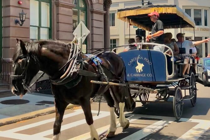 Charleston Horse & Carriage Historic Sightseeing Tour - Final Thoughts